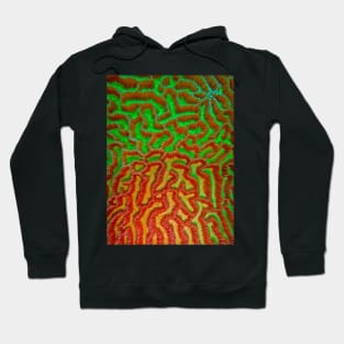 CORAL PATTERN Hoodie